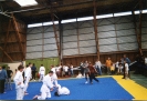 Fête du sport Septembre 2001 à Ploemeur 07