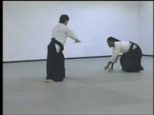 Advanced Aikido Techniques Part 2